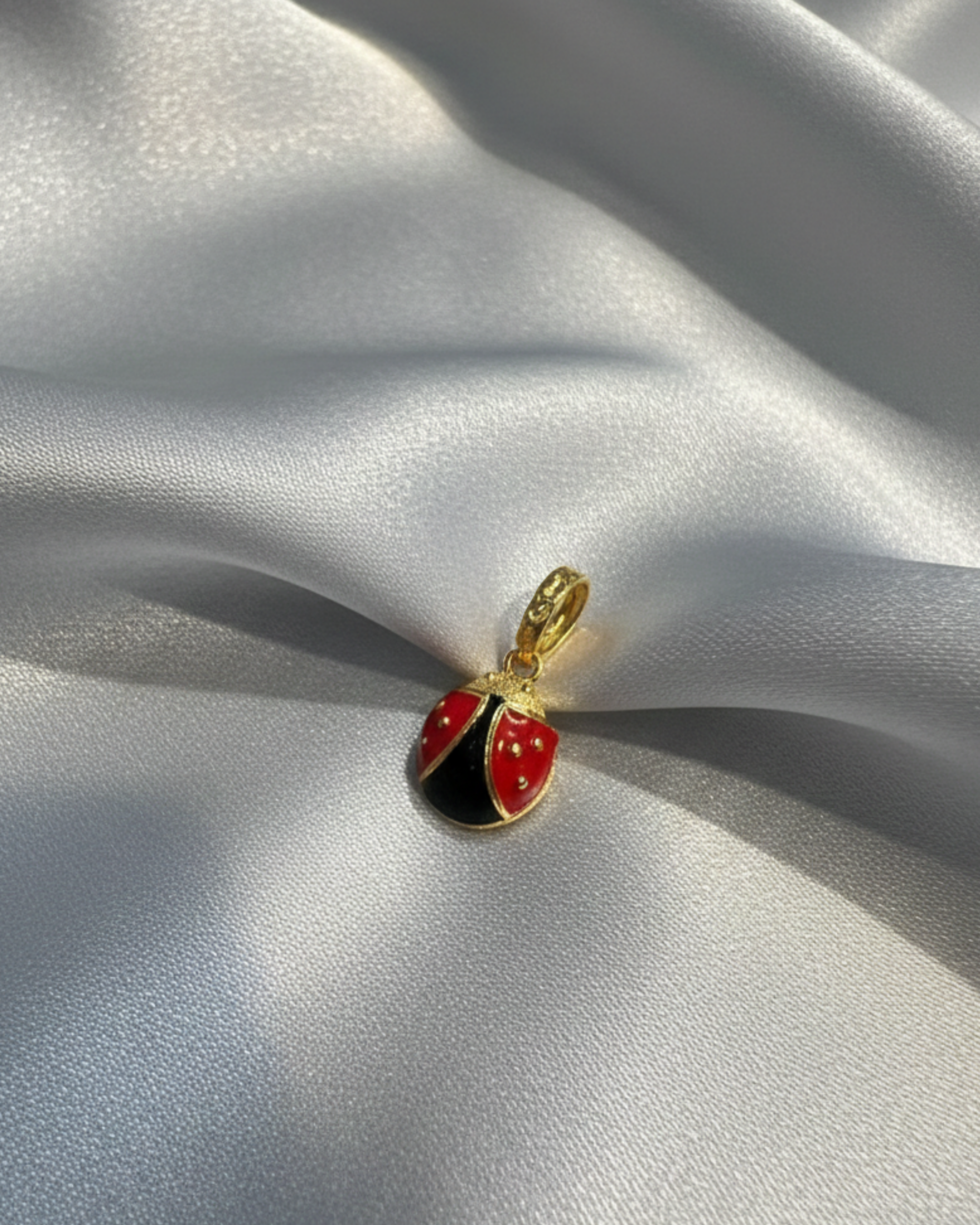 Charm Ladybird
